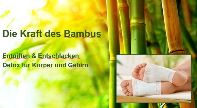 Bioresonanz, Fünf-Elemente-Lehre, Yin-Yang, TCM, i-like Metaphysik, Dr. Gruber, Gesundheit, Lebensqualität, Vitalität, Resilienz, Stärke, Immunsystem, Entgiftung, Ausleiten, Ausleitung, Schwermetalle, Gifte, Dioxine, Lymphe, Aluminium, Akupunktur, TCM, Wohlfühlen, gut schlafen, Operation, Zecken, Schmerzen, Sportler, Bambusessig, Bambus, Vitalität, Säure Basen Haushalt, Dr. Klinghardt,